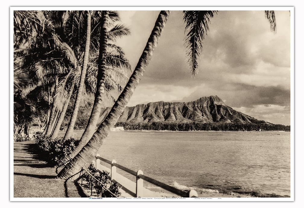 Amazon.com: Honolulu Hawaii - Diamond Head Crater and Palms